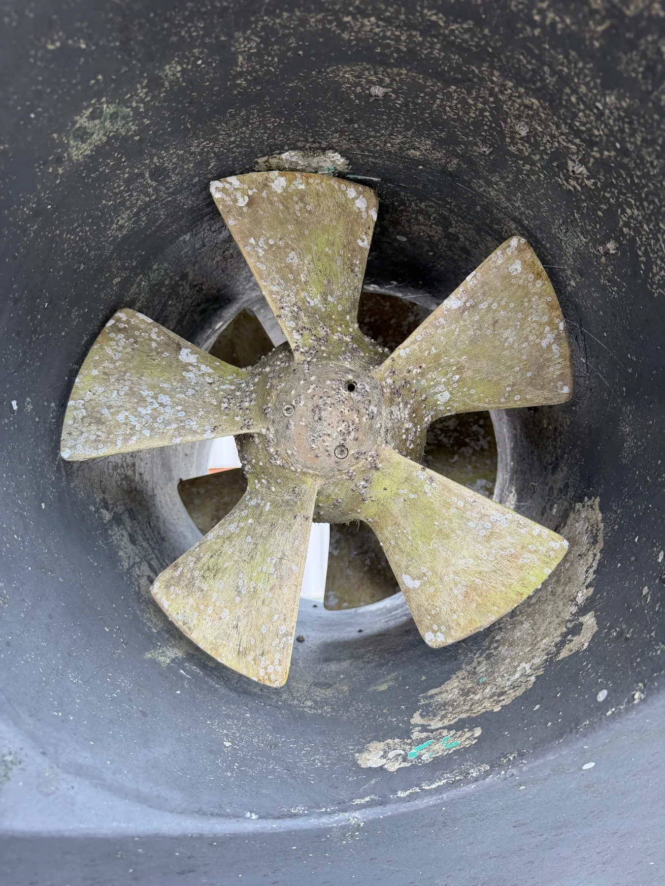Bow thruster propeller with marine growth before scheduled maintenance